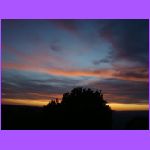 Tree and Clouds 2.jpg